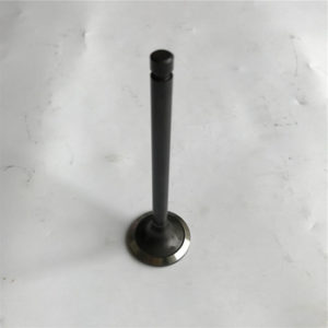 Клапан выпускной NISSAN TD27/42 13202-43G01